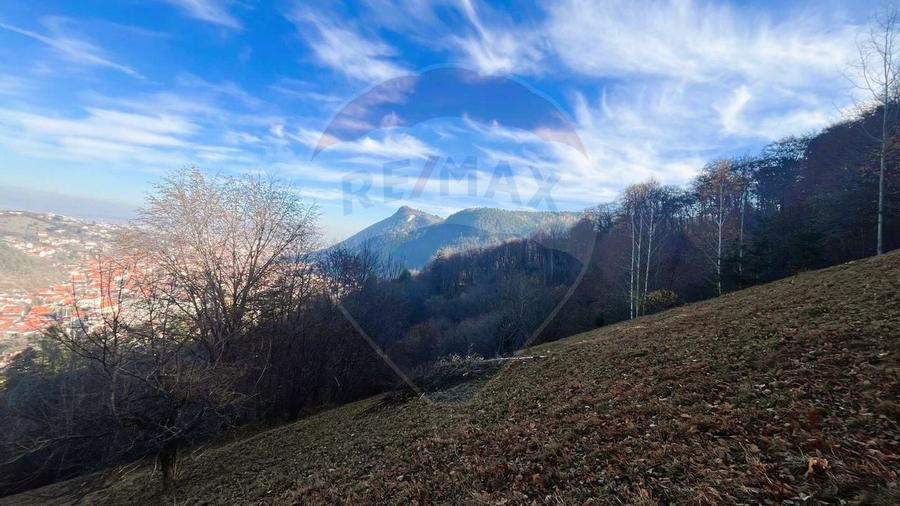 Teren Colinar Panoramic – 17.684 mp în Scheii Brașovului - 1
