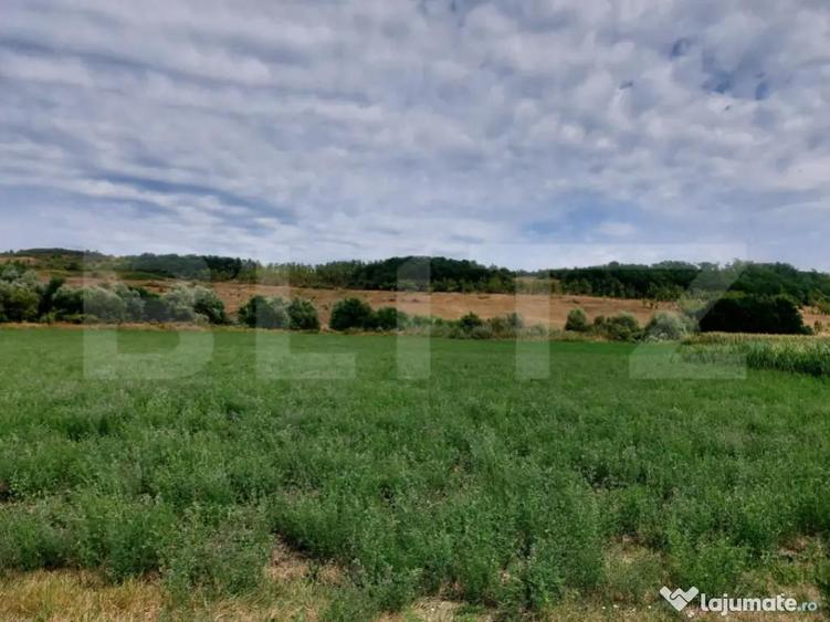 De vanzare teren Fundatura 27500mp - intravilan - 1