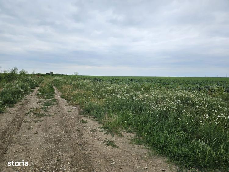 Planul I 14.832 mp Slatina bucla Drum Expres DX12 - DJ 546 - 2