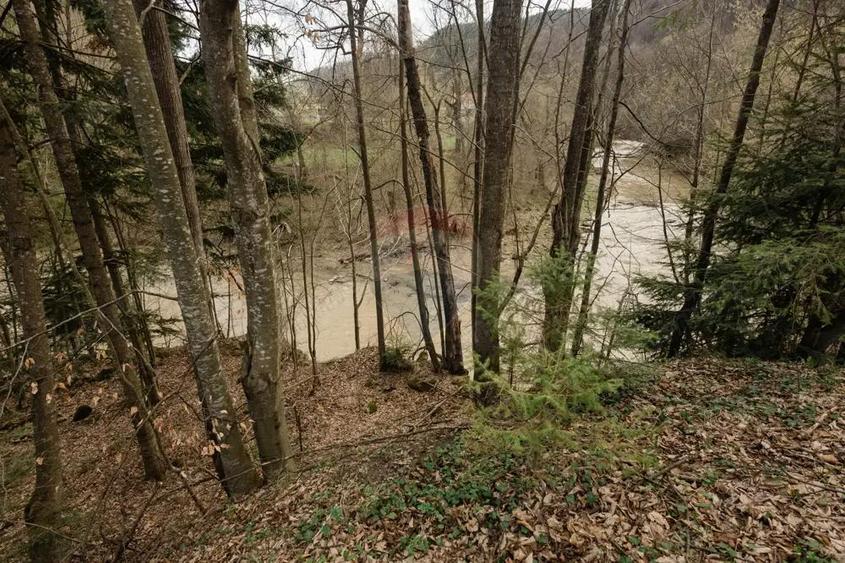 Casa si teren intravilan Tarcau - 12