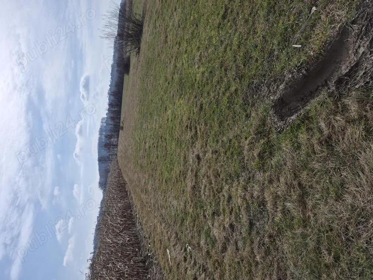 Teren premium intravilan Dealul Gro?ilor, Baia Mare - 1