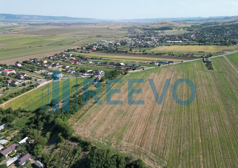 Teren de vanzare, Com. Sarata, Jud. Bacau - 9