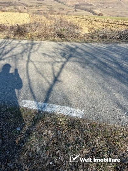 Teren extravilan cu gradina in Saliste - 7