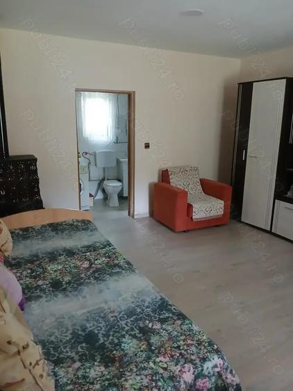 Vand gospodarie in sat Coa?, jud. Maramure? - 8