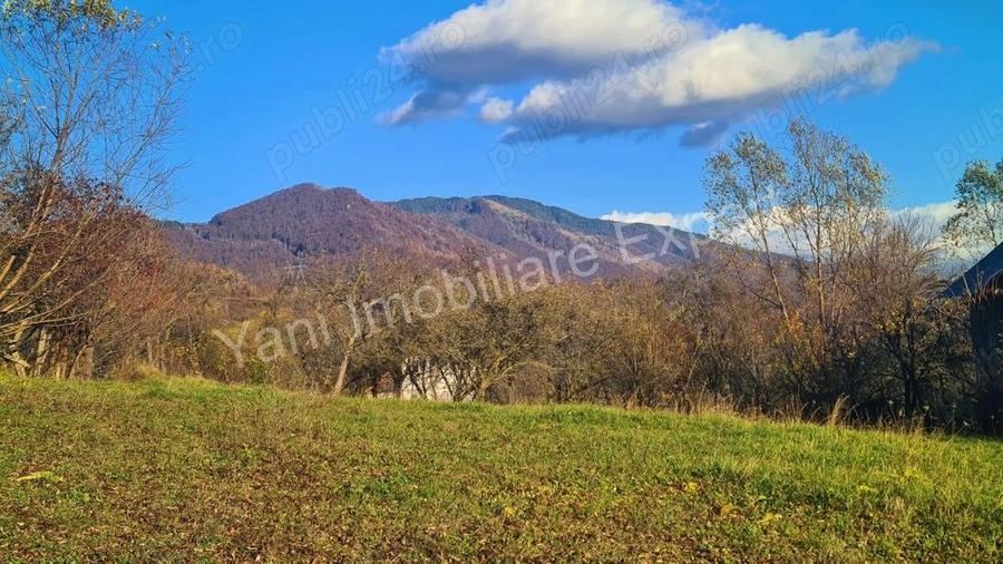 Teren de vanzare in comuna Arefu, jude? Arge?, in apropiere de Transfagara?an. - 2