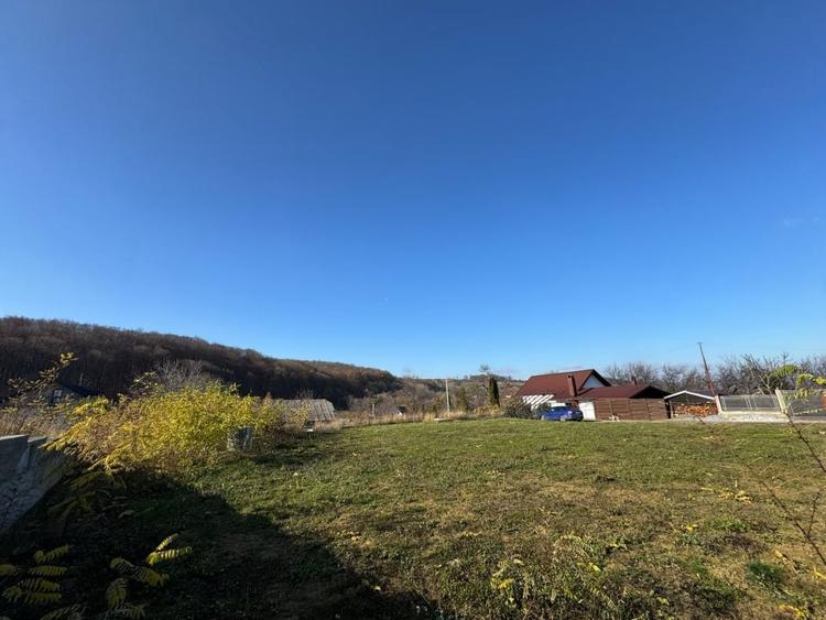 Vanzare  1400mp teren imprejmuit 2 loturi pt casa Adancata - sub padure - 8