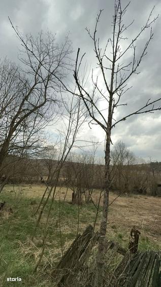 Casa de vanzare in Stupini, comuna Sanmihaiu de Campie teren 35 ari - 9