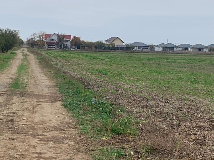Teren Sabareni linga padure 10 minute pina in Bucuresti - 9
