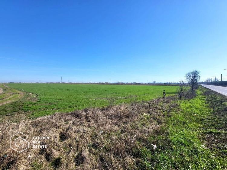 4 Terenuri extravilane, 31.400 mp - 1