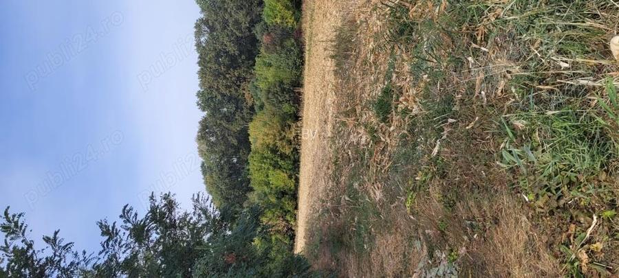 De vanzareTEREN 4000mp la padure parcelabil