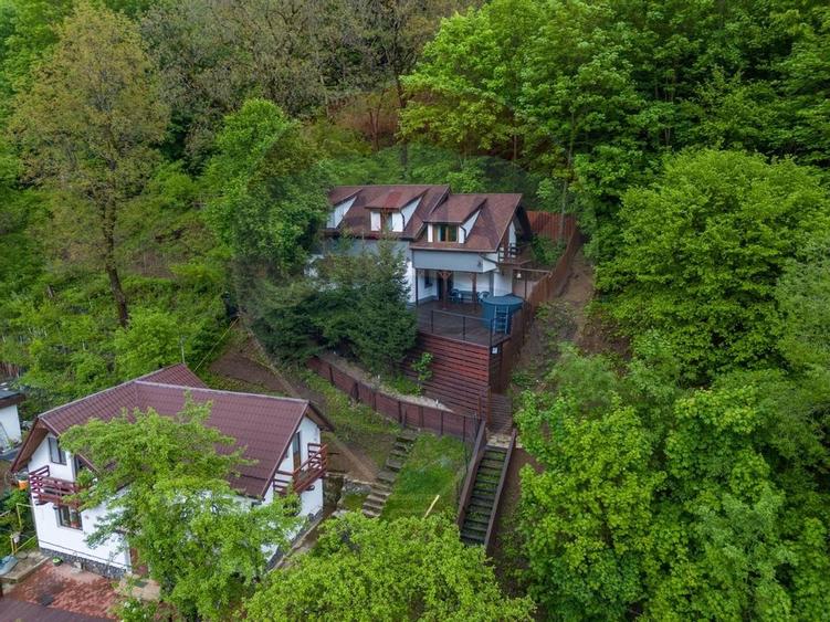 Casa in inima naturii - potential turistic - Centrul Istoric! - 36