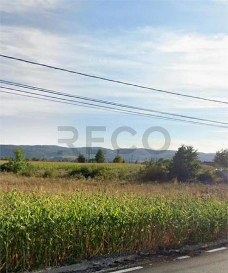 RECO Teren in Topa de Cris 7560mp aproape de E60 - 1