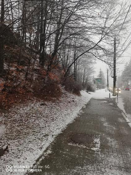 Teren intravilan situat in Busteni - 3