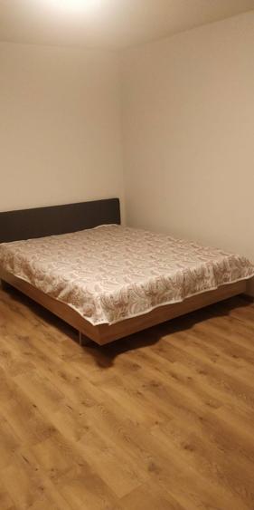 PF serioasa, ofer pt inchiriere garsoniera recent renovata, in Mana?tur, zona BIG - 2