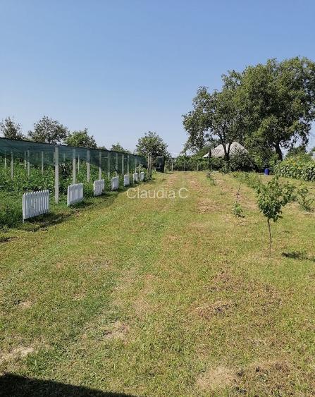 Teren intravilan in Barcanesti-centru, sat Candesti, Neamt, 3000mp Teren intravilan in Barcanesti-centru, sat Candesti, Neamt, 3000mp