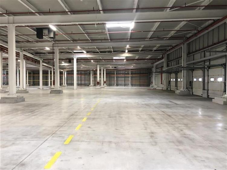 Inchiriere depozit/hala/spatiu industrial Chiajna - A1 - Centura - 4