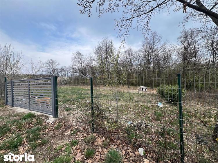 RECO Teren Saldabagiu de Munte - 3