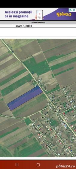 Teren de 2000 mp, în Tăcuta