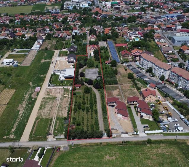 Teren 8000mp cu vila si parc recreational zona centrala Sanmartin - 6