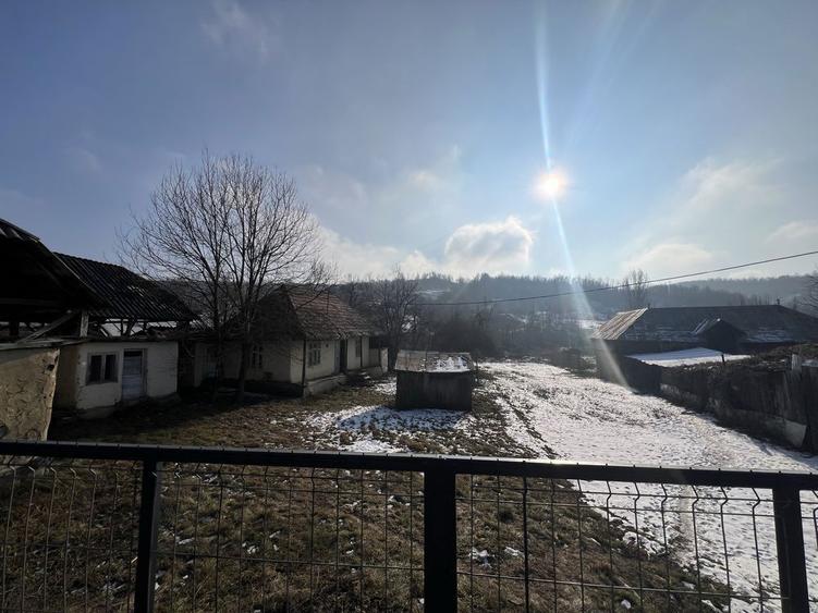 Casa batraneasca - curte si gradina 1924 mp + 2100 livada - 6