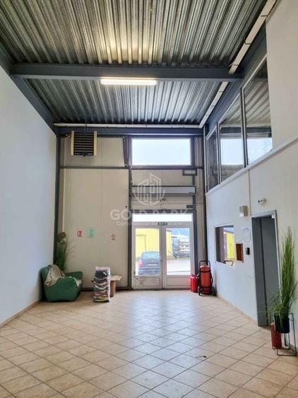 Complex Industrial - Zona Autostrazii A3 - PRELUARE CHIRIASI - 11