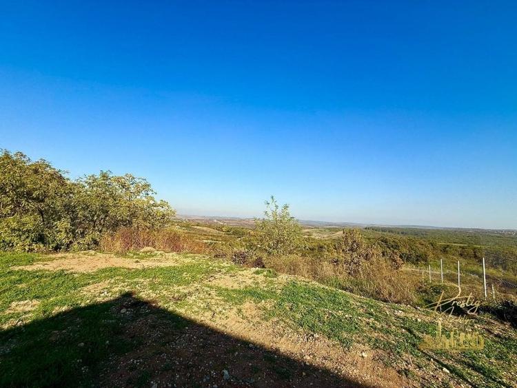 Teren Intravilan 1146 mp cu vedere panoramica de vanzare in Paleu - 5