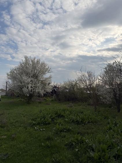 15000 negociabil - 7