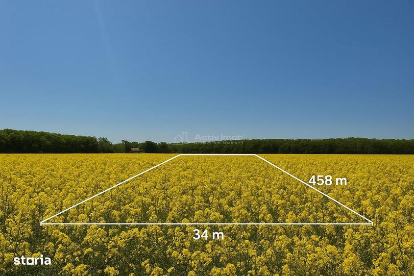 Teren Intravilan - Dascalu - 13500mp - deschidere 34.5mp - 6