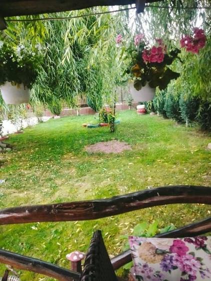 Casa Prahova Comuna Buchilas | 2.800 MP TEREN | Zona Verde | Padure - 4