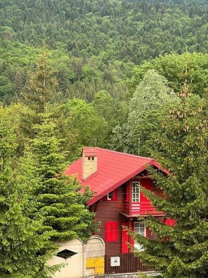 Vila de vis cu parc privat  — Panoramă Unică Spre Crucea Caraiman, - 30