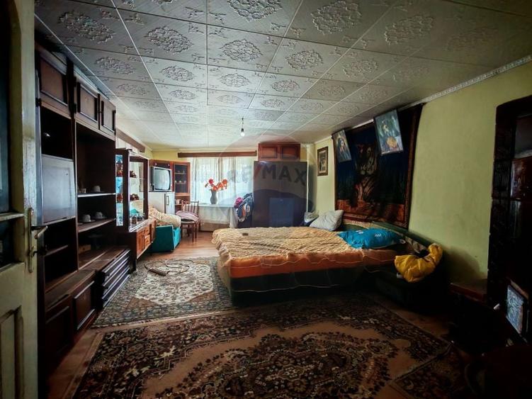 Casa ultracentral in Saliste cu un teren generos de 1757 mp - 9
