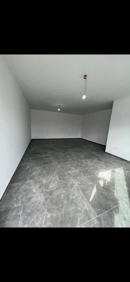 Spatiu comercial Mosnita - 3