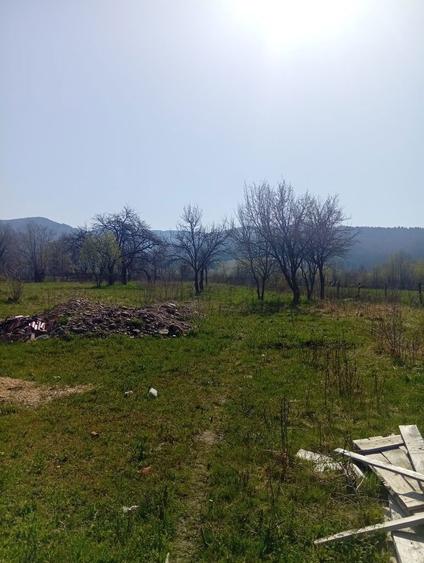 De vanzare Teren Intravilan - 1