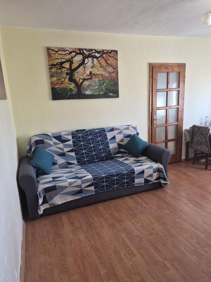 Apartament cu 2 camere nedecomandat în Seleuș