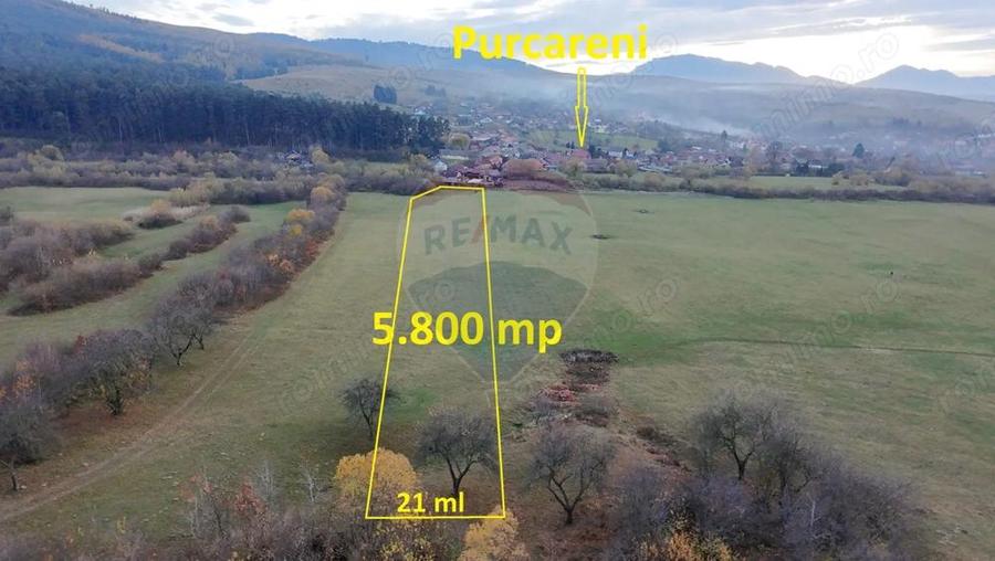 Teren 5.800 mp Purcareni curent, gaz, apa / Strada 30 decembrie - 6