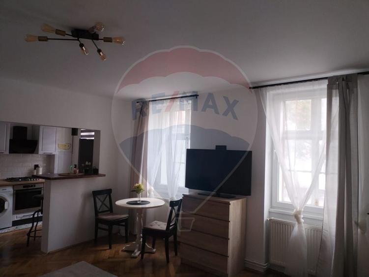 Apartament cu 1 camere de &icirc;nchiriat &icirc;n zona Centrul Istoric - 3