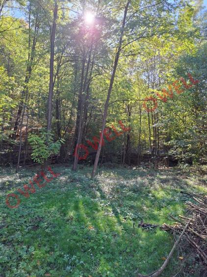 De vânzare casă de vacanță și teren intravilan în Sovata! - 6