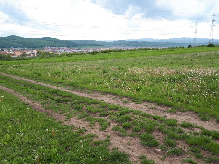 Teren 1000 mp - capat Grigorescu, zona Donath - 75 EUR/mp - 3