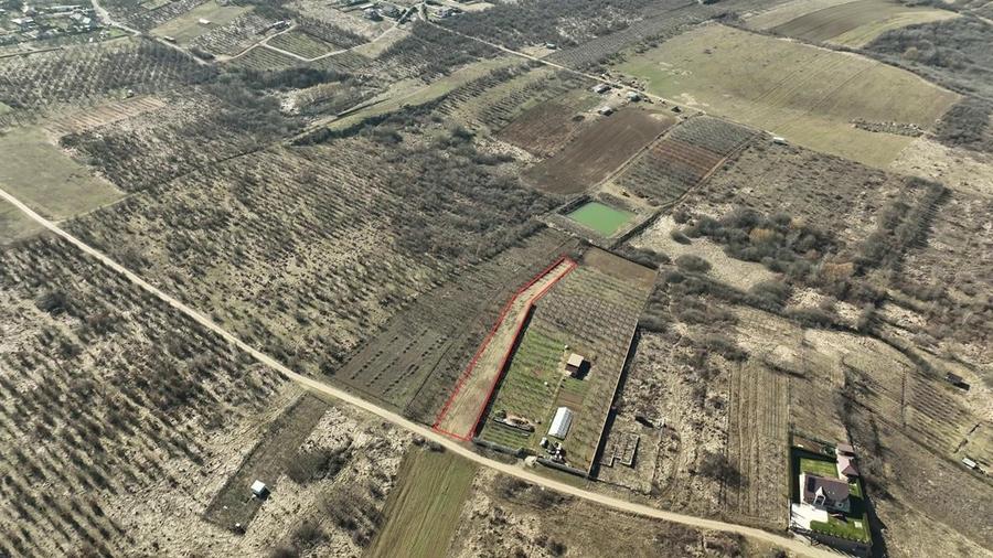 RECO TEREN INTRAVILAN IN PALEU - 3