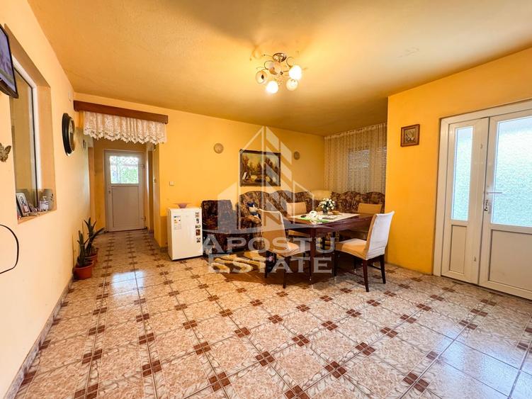 Casa individuala, 4 camere, 2600mp teren, Barcea Mare in Hunedoara - 9