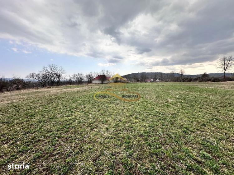 Teren de vanzare Blagesti Bacau - 8