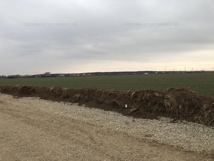 Balotesti Albinelor loturi 1100-1500mp 37euro - 5