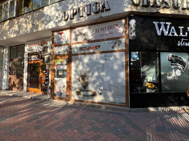 Spatiu comercial 17,6 mp de inchiriat – Bd. Nicolae Grigorescu - 3