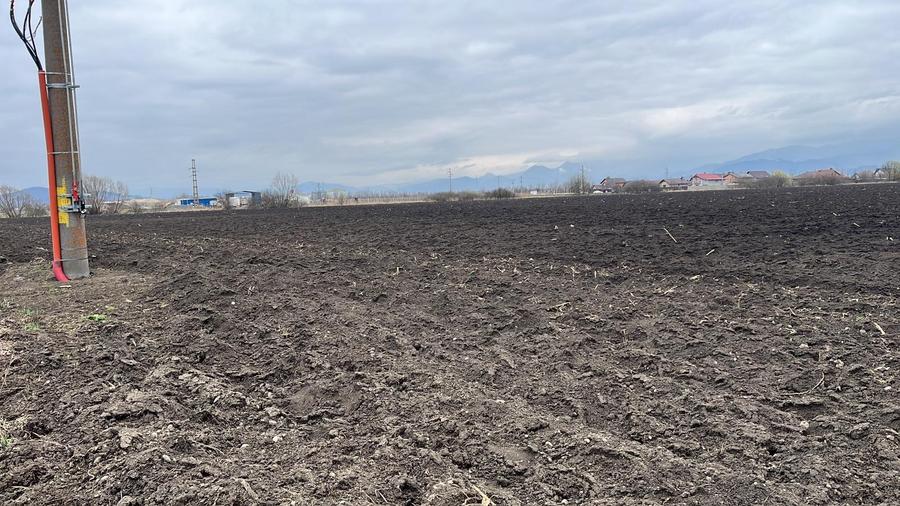 Teren 50000mp Extravilan-Intrare Halchiu-Cod 5235 - 9