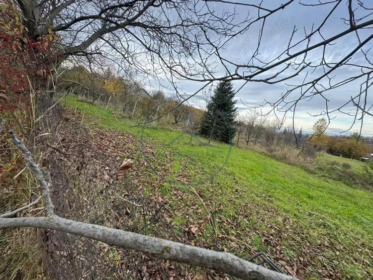 Teren intravilan 3.000 mp, 2 fronturi, Valea Jelnei - 1