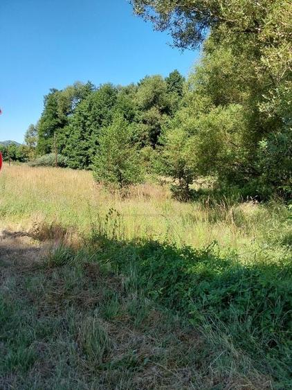 TEREN INTRAVILAN &Icirc;N MARGA-LA DN68 JUD.CARAȘ-SEVERIN - 4