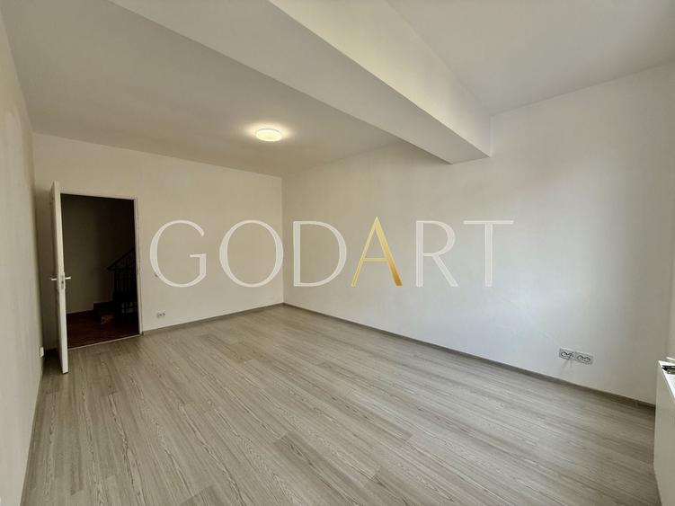 Oportunitate | Vila individuala | Curte | Tei - 12