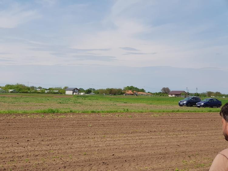 De vanzare loturi teren in Dascalu!! - 2