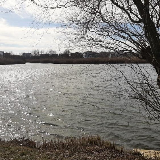 Teren de vanzare la Lac, Corbeanca - 9