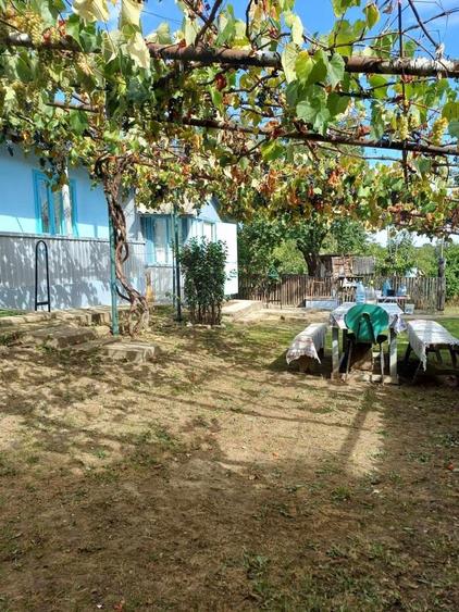 Casa batraneasca +teren 3000 mp la doar 18 km de Oras ! - 4